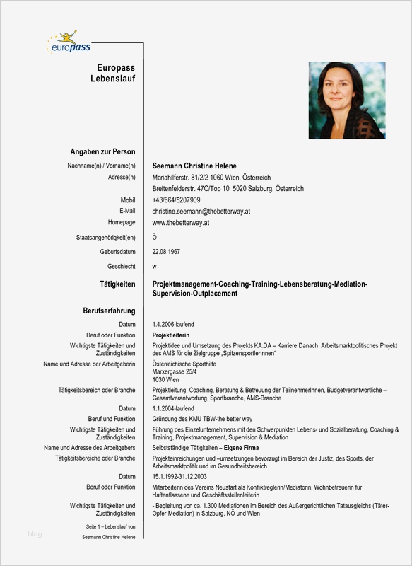 Europass Lebenslauf Deutsch im Beruf Bewerbung