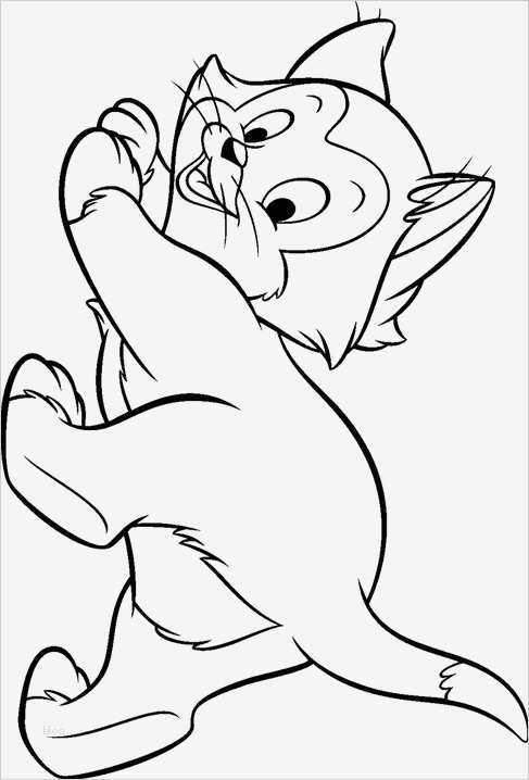 Excel Dashboard Vorlage Süß Gallery Of Kostenlose Excel Dashboard Vorlagen Vorgestellt