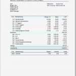 Excel Vorlage Lohnabrechnung Hübsch Business Wissen Management Security Lohnabrechnung Vorlage