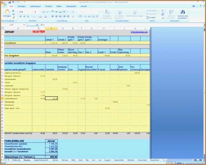 Excel Vorlage Mieteinnahmen Inspiration Beste Familienbilanz Vorlage Zeitgenössisch Entry Level