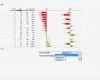 Excel Vorlage Umsatz Bewundernswert Chart Me Xls Management Berichts Nach Success Ibcs