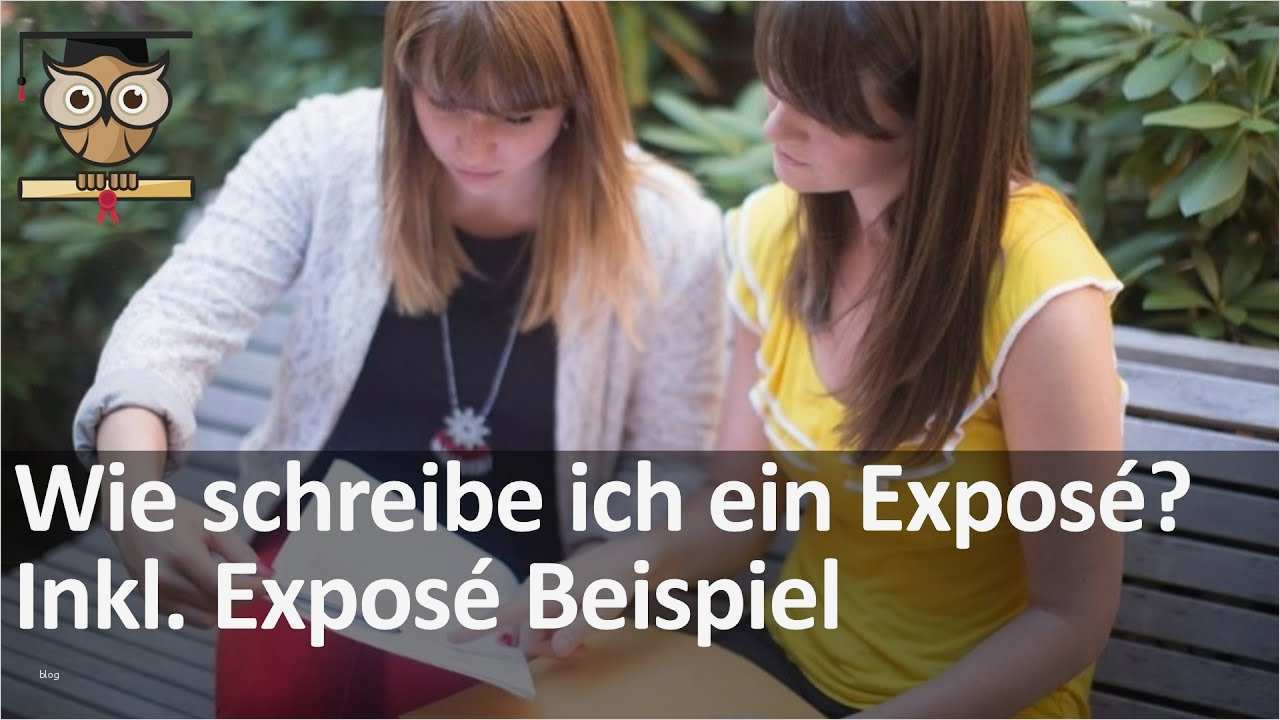 Expose Bachelorarbeit Vorlage Erstaunlich Exkurs 1 Expose Schreiben Für Bachelorarbeit Und