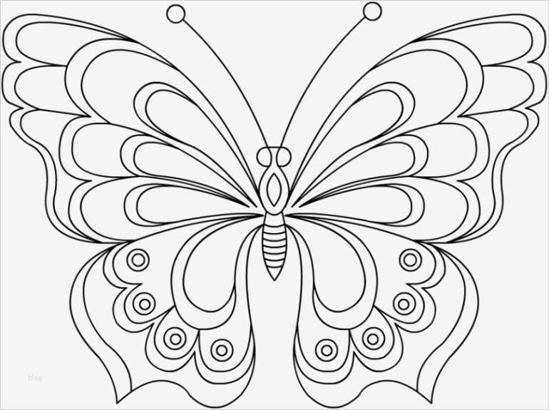 Fadengrafik Vorlagen Kostenlos Herz Angenehm Schmetterling Malvorlage 04 Anleitungen