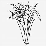 54 Elegant Fadengrafik Vorlagen Kostenlos Herz Abbildung 44 Fadengrafik Vorlagen Kostenlos Herz Fabelhaft Osterglocken Zum Ausmalen 876 Malvorlage Ostern