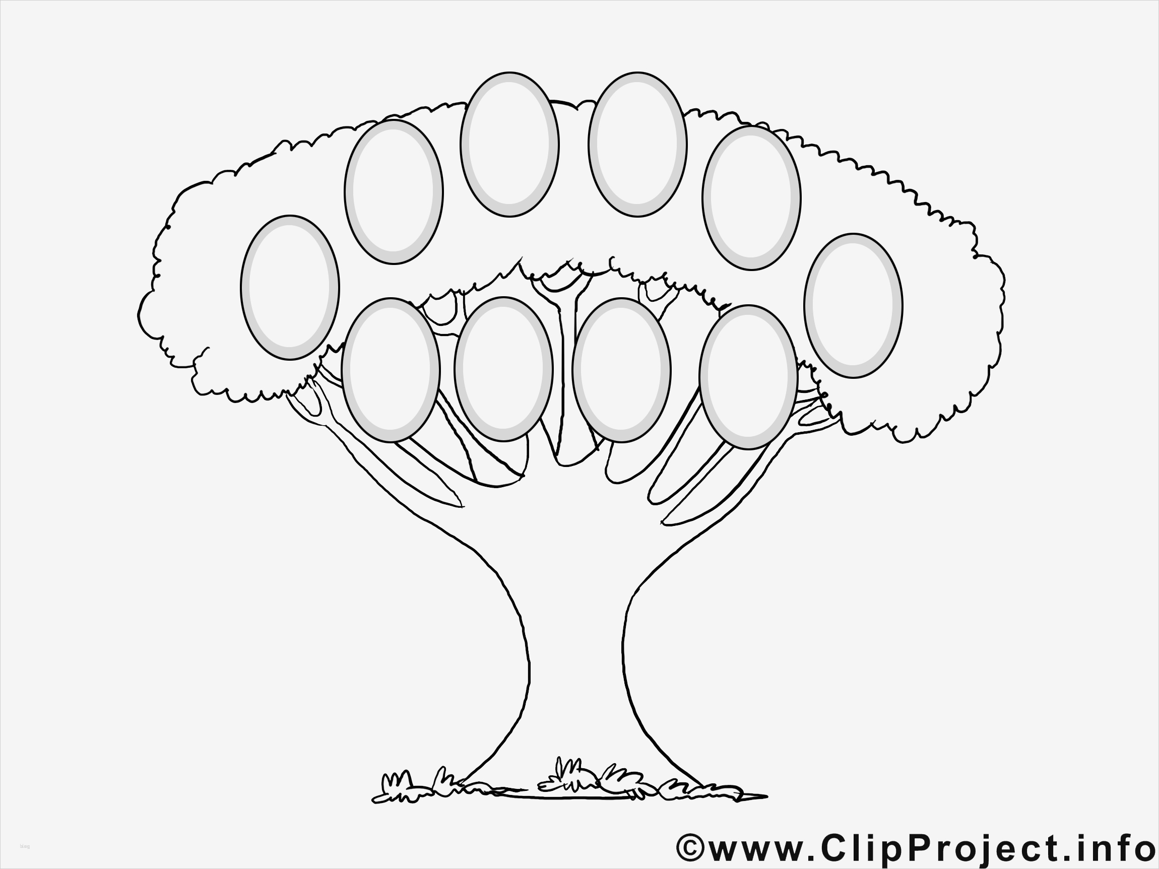 Familien Baumstamm Vorlage Einzigartig Familien Stammbaum Muster