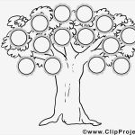 Familien Baumstamm Vorlage Fabelhaft Familien Stammbaum