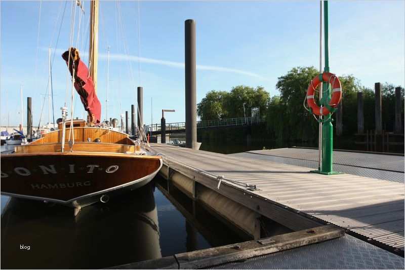 Familien Baumstamm Vorlage Luxus Referenzen Terrassen