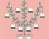 Family Tree Vorlage Best Of Plantilla De árbol Genealógico Minimalista