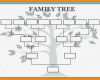 Family Tree Vorlage Einzigartig Best 25 Family Tree Templates Ideas On Pinterest