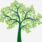 Family Tree Vorlage Erstaunlich Family Tree