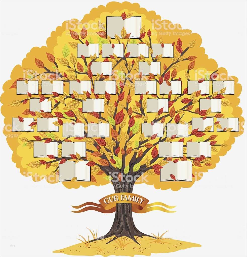 Family Tree Vorlage Erstaunlich Stammbaumvorlage Stock Vektor Art Und Mehr Bilder Von ast