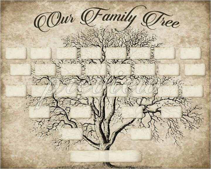 Family Tree Vorlage Großartig Die Besten 25 Stammbaum Vorlage Ideen Auf Pinterest