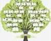 Family Tree Vorlage Gut Drzewo Genealogiczne Szablon Stockowa Ilustracja Wektorowa