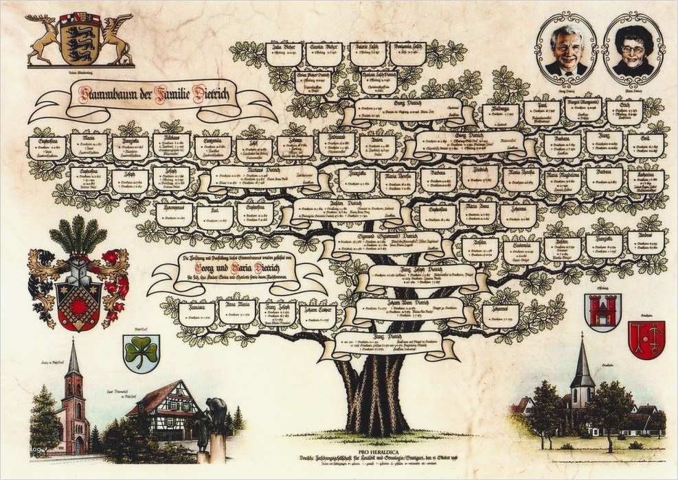 Family Tree Vorlage Gut Stammbaum Erstellen Lassen Ahnenforschung Pro Heraldica