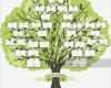 Family Tree Vorlage Hübsch Illustrations Et Dessins Animés De Arbre Généalogique