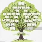 Family Tree Vorlage Hübsch Illustrations Et Dessins Animés De Arbre Généalogique