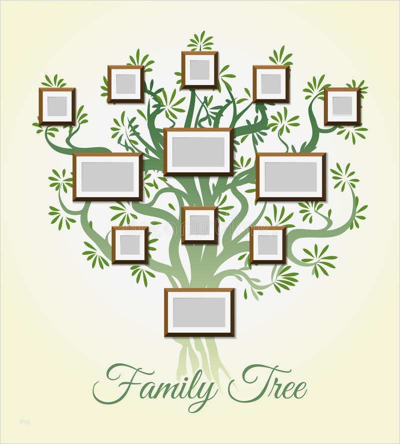 Family Tree Vorlage Inspiration Family Tree with Frames Vector Illustration Parents