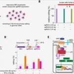 Fasson Etiketten Vorlagen Fabelhaft atemberaubend Z Etikettenvorlagen Fotos Ideen fortsetzen