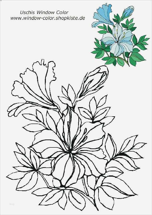 Fensterbilder Filigran Vorlagen Kostenlos Erstaunlich 53 Besten Windowcolor Vorlagen Bilder Auf Pinterest