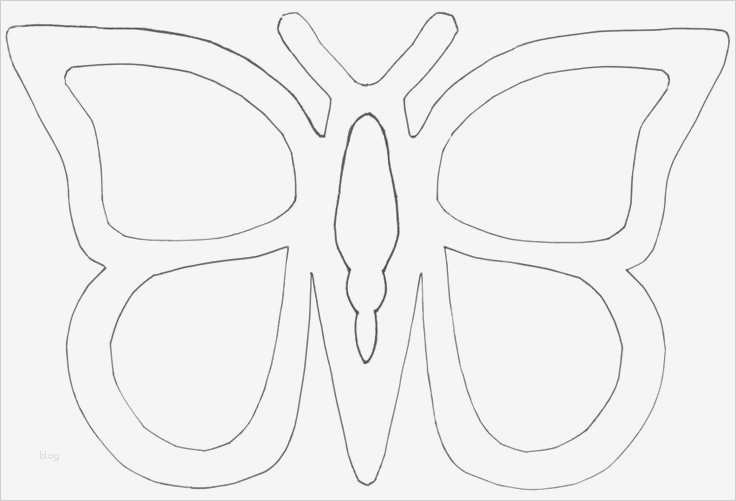 Fensterbilder Filigran Vorlagen Kostenlos Gut Schmetterling Vorlage Fensterbild 595 Malvorlage Vorlage
