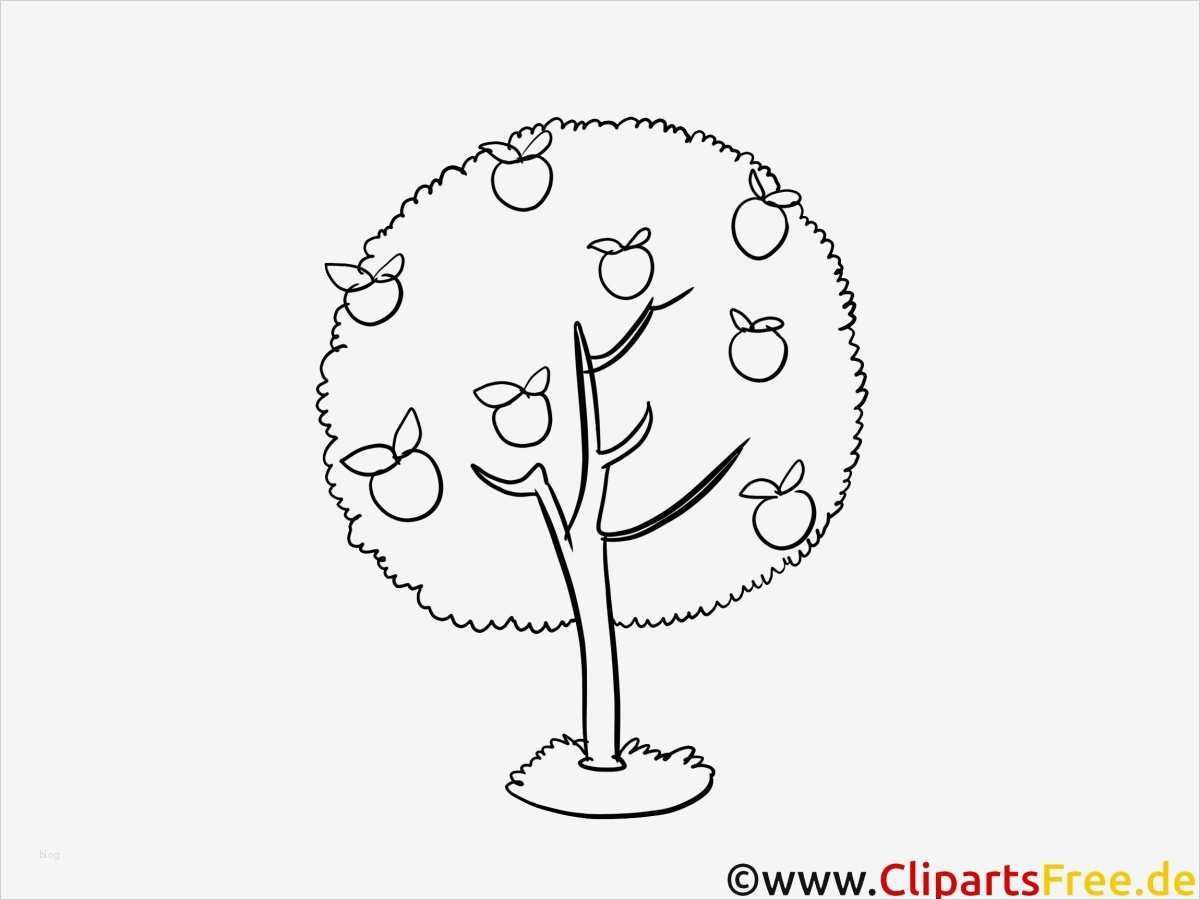 Fensterbilder Malen Vorlagen Schön Fensterbilder Herbst Vorlagen Herbst Malvorlagen