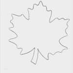 Fensterbilder tonkarton Vorlagen Neu Großartig Herbstblätter Vorlagen Zum Ausdrucken Bilder