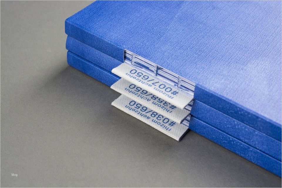 Fh Münster Powerpoint Vorlage Bewundernswert Rhizom 18