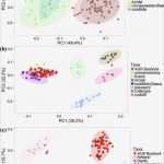 Filemaker Vorlagen Rechnung Bewundernswert 40 Elegant Ninox Database Manual
