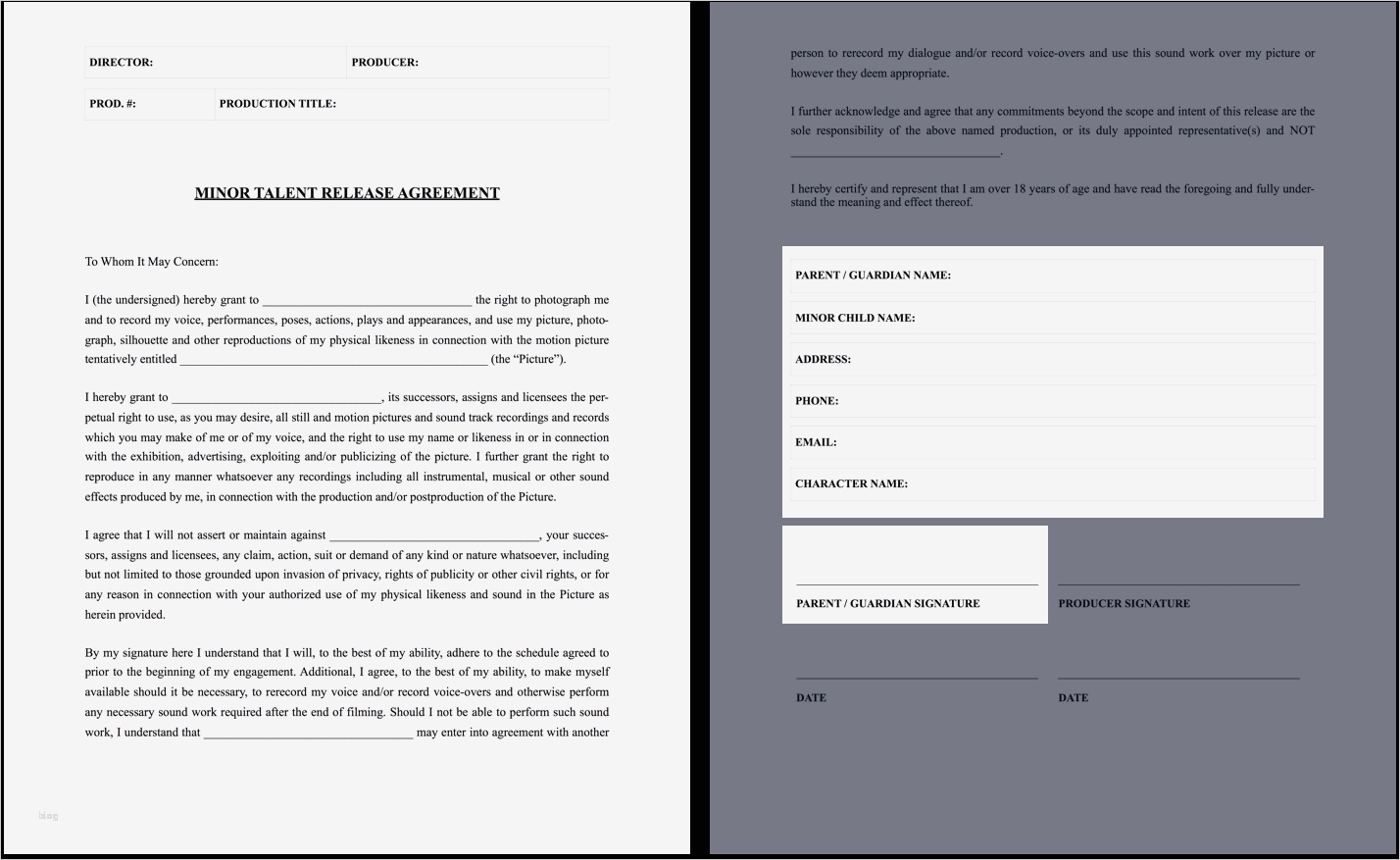 Film Script Vorlage Schönste the Plete Guide to Actor Release forms Free Template