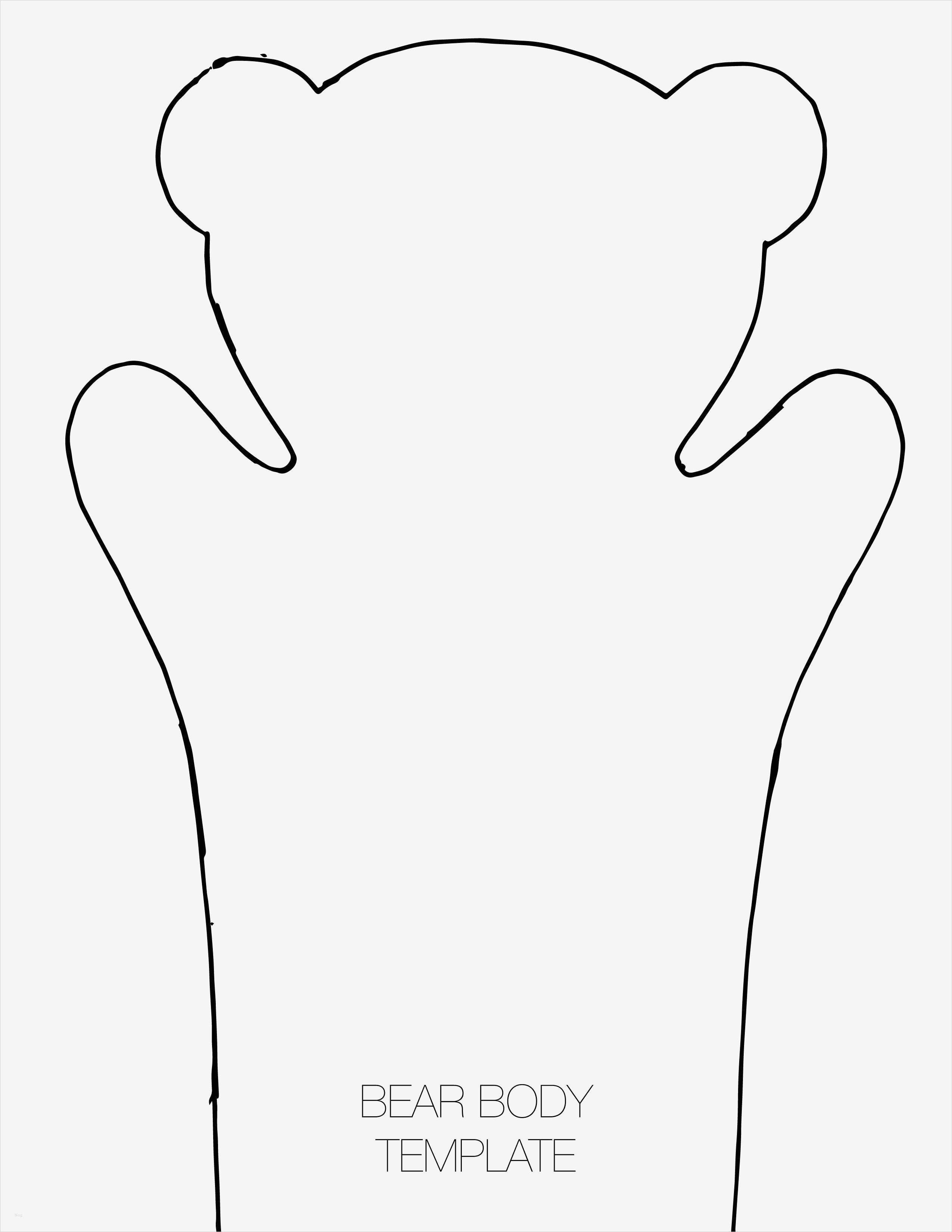 Fingerpuppen Vorlagen Filz Gut Bear Hand Puppet Template Puppets