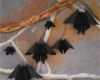 Fingerpuppen Vorlagen Filz Schön Fledermäuse Basteln – How to Make Bats – Kostenlose