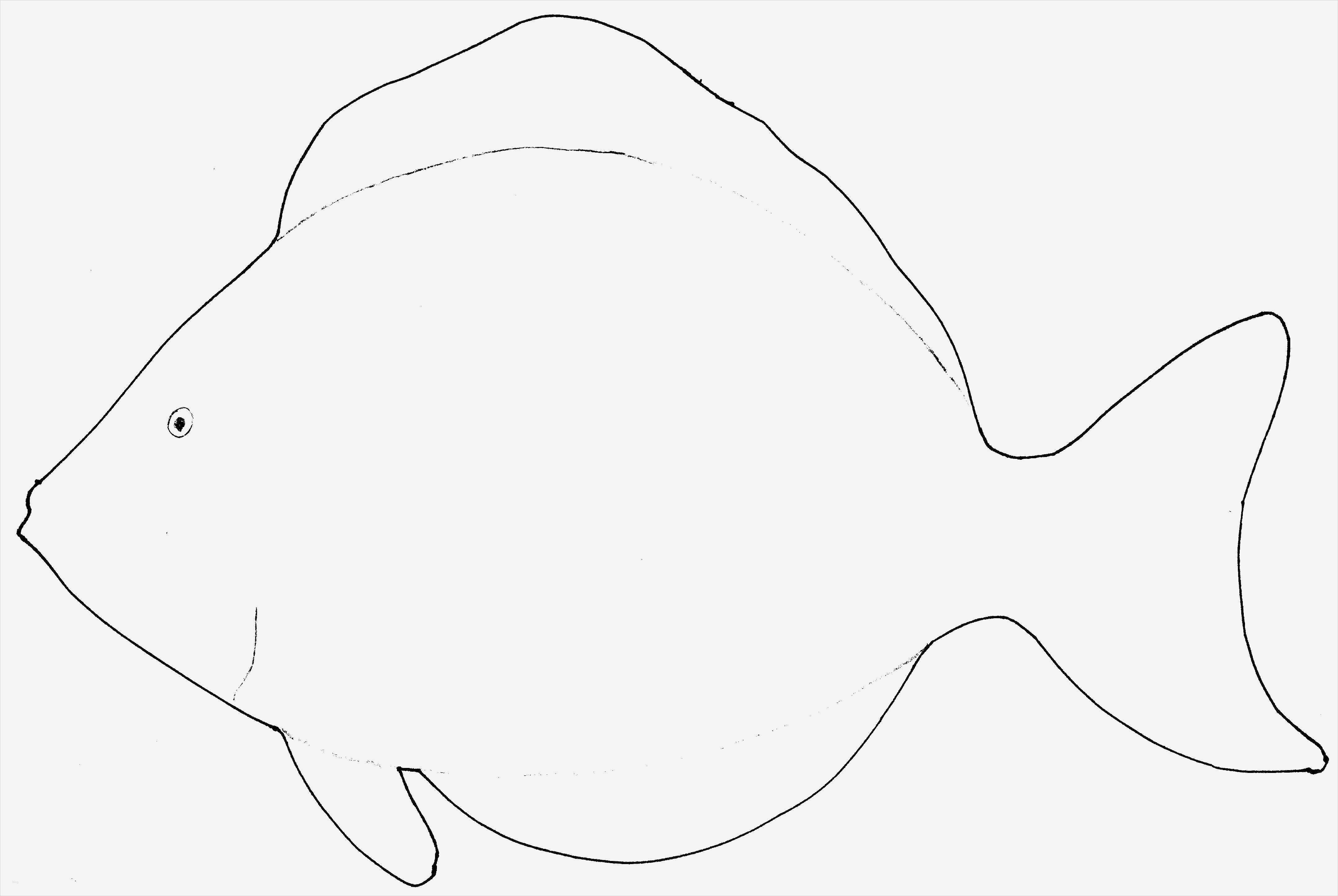 Fisch Vorlage Zum Basteln Elegant Volltreffer