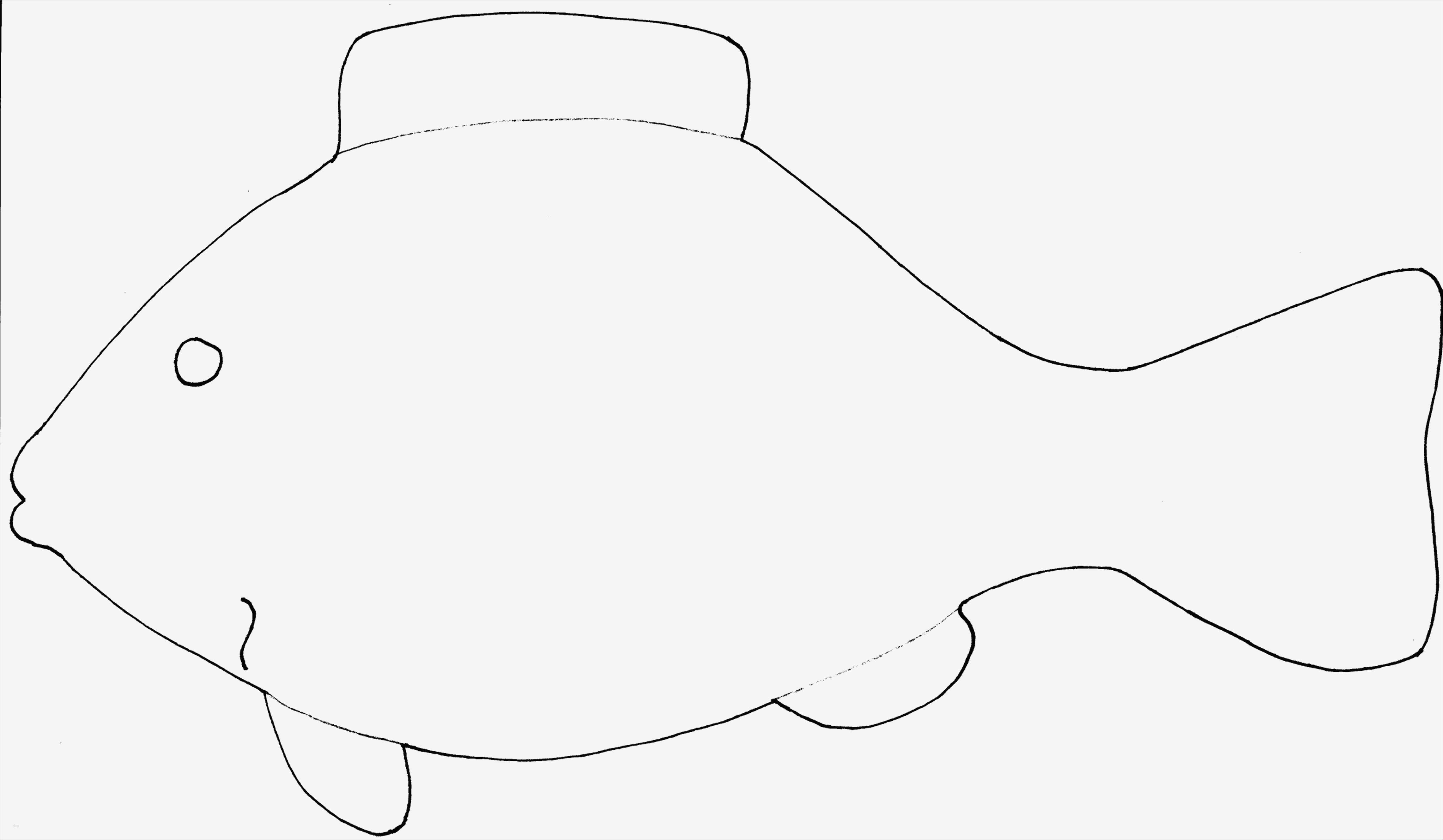 Fisch Vorlage Zum Basteln Inspiration Volltreffer