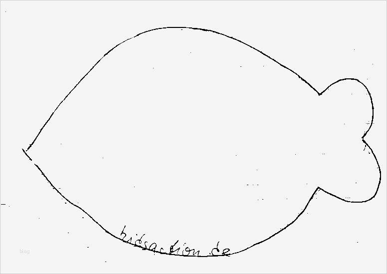 Fisch Vorlage Zum Basteln Luxus Bastelndsaction Basteln Im sommer