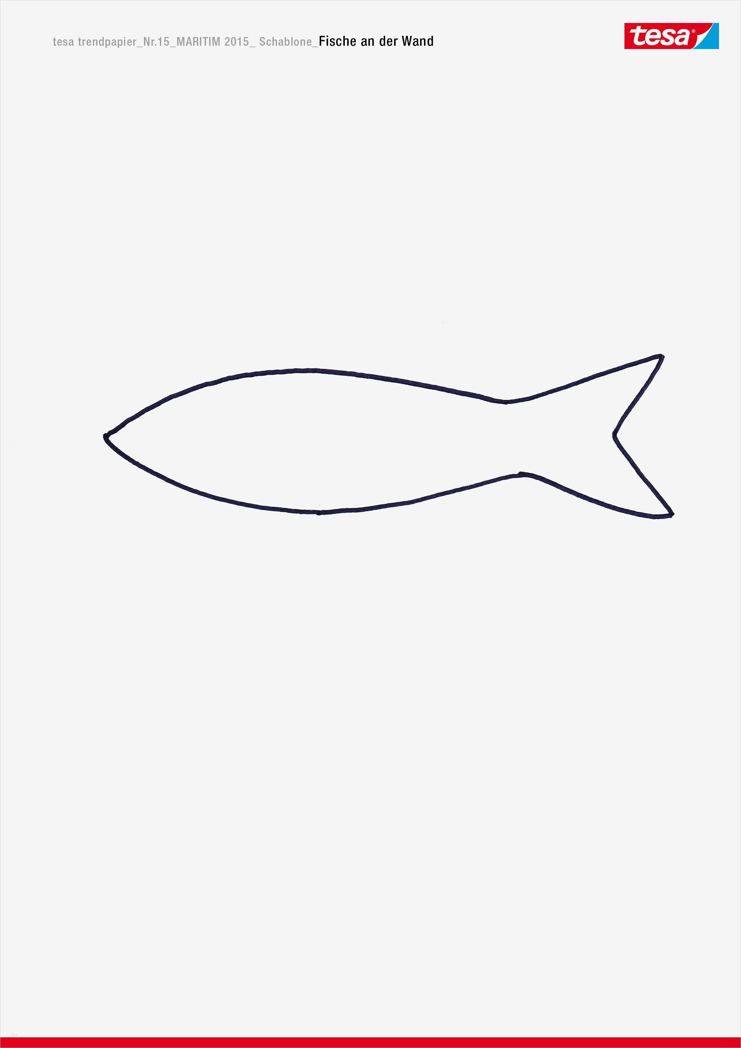 Fisch Vorlage Zum Basteln Neu Fische An Der Wand