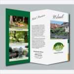 Flyer Din A4 6 Seiten Wickelfalz Vorlage Cool Flyer Gastronomie Grün 6 Seiten Langdin Gefalzt 9 9 X 21