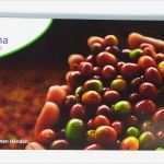 Flyer Din Lang Wickelfalz Vorlage Süß Werbeflyer Online Drucken