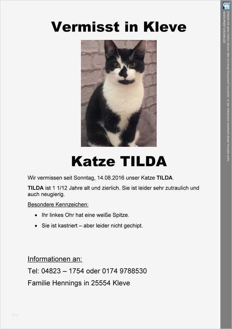 Flyer Mit Telefonnummer Zum Abreißen Vorlage Hübsch Tierheim Itzehoe Tierschutzverein Itzehoe & Kreis