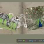 Fotobuch Photoshop Vorlage Wunderbar Mit Shop Elements Ein Fotobuch Erstellen