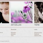 Fotografen Homepage Vorlagen Erstaunlich In 5 Minuten Eine Professionelle Fotografen Homepage Erstellen