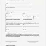 Fragebogen Demographische Daten Vorlage Angenehm Kassel Steuer Downloads