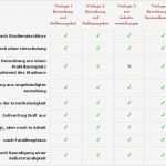 Fragebogen Demographische Daten Vorlage Cool Bewerbungs Design Ganz Einfach