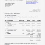 Fragebogen Demographische Daten Vorlage Schön Angebot Schreiben Beispiel – Kundenbefragung Fragebogen Muster