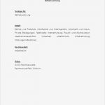 Führerschein Vorlage Beim Arbeitgeber formular Wunderbar Schwangerschaftsmitteilung Arbeitgeber Muster Zum Download