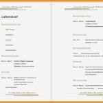 Fußball Lebenslauf Vorlage Cool 5 Sprachkenntnisse Im Lebenslauf