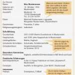 Fußball Lebenslauf Vorlage Cool Großzügig Fußball Lebenslauf Beispiel Ideen Ideen