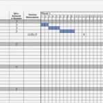 Gantt Diagramm Stunden Vorlage Beste Nett Excel Projektplanvorlage Galerie Entry Level Resume