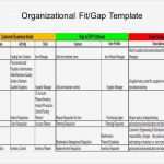 Gap Analyse Excel Vorlage Einzigartig Erp Project 101 organizational Fit Gap