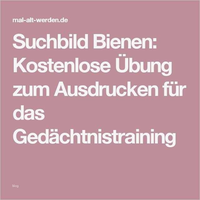 Gedächtnistraining Senioren Vorlagen Wunderbar Die Besten 25 Rätsel Zum Ausdrucken Ideen Auf Pinterest
