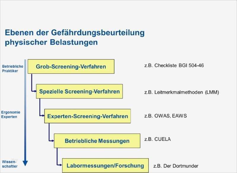 Gefährdungsbeurteilung Psychische Belastung Vorlage Einzigartig ifa Ergonomie Gefährdungsbeurteilung Physischer Belastungen